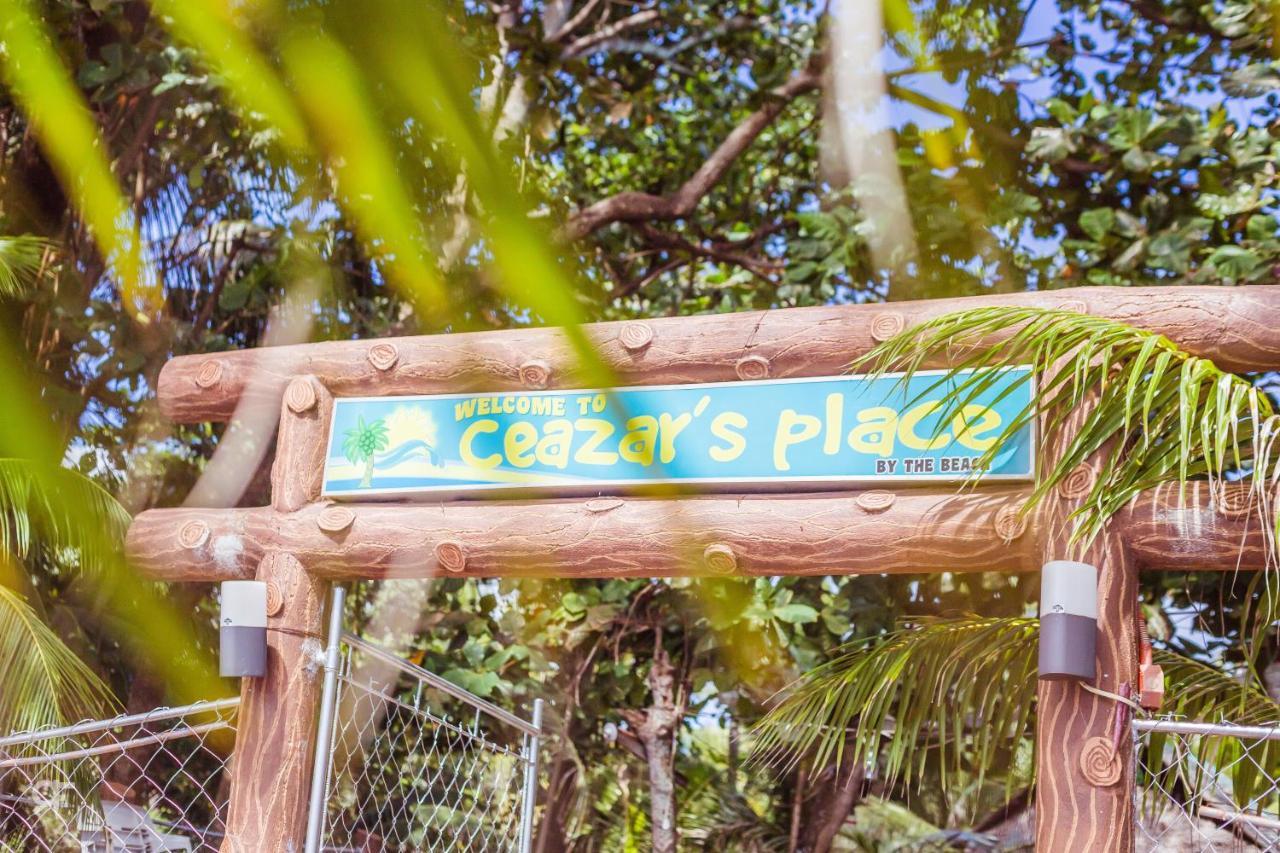 Ceazar'S Place Dauin Ngoại thất bức ảnh