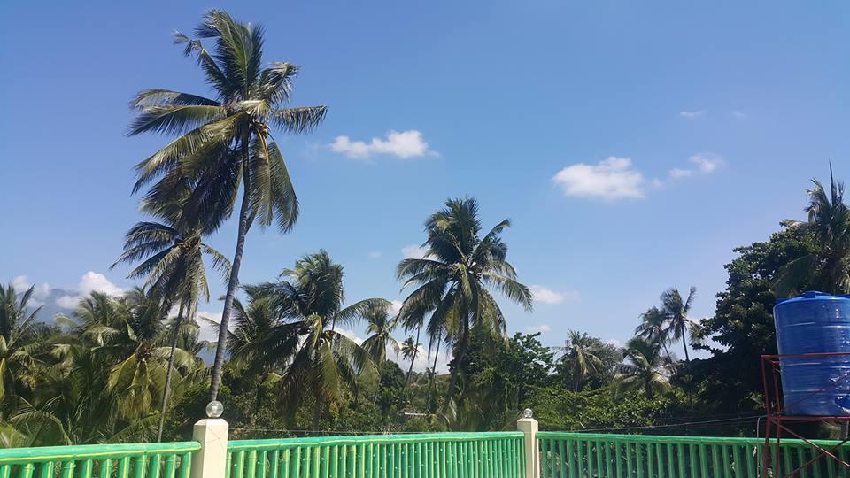 Ceazar'S Place Dauin Ngoại thất bức ảnh